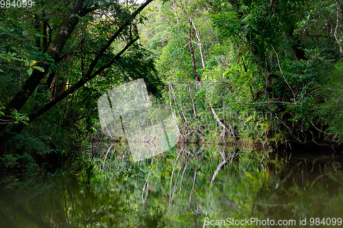 Image of Masoala National Park landscape, Madagascar