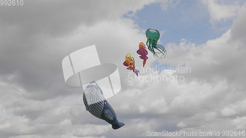 Image of MOSCOW - AUGUST 27: Feast of kites in the park on August 27, 2017 in Moscow, Russia