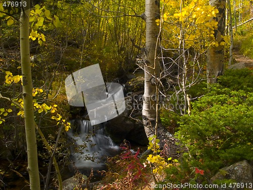 Image of Autumn Colors and Brook