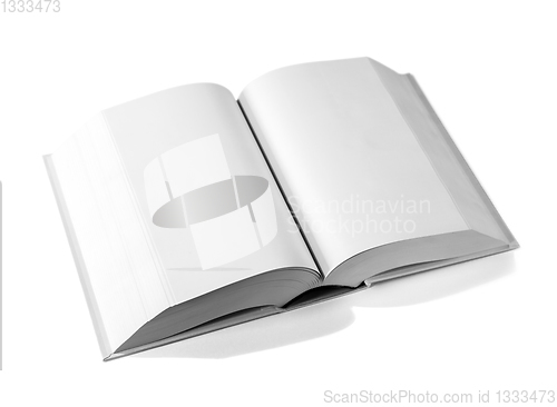 Image of Open blank dictionary, book isolated on white