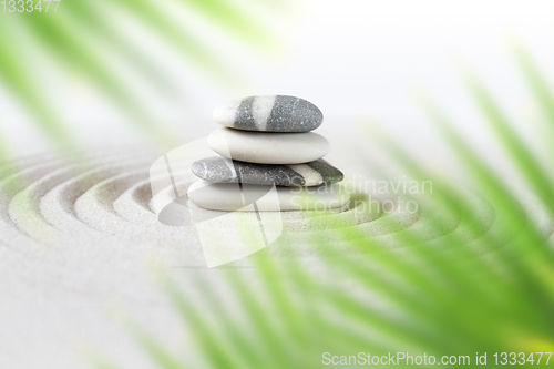 Image of Zen natural japanese garden background