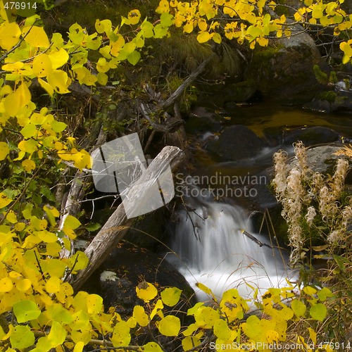 Image of Autumn Leaves Framing Brook