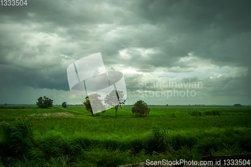 Image of Field in the storm, Chiang Mai, Thailand