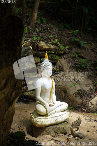 Image of Buddha statue in jungle, Wat Palad, Chiang Mai, Thailand