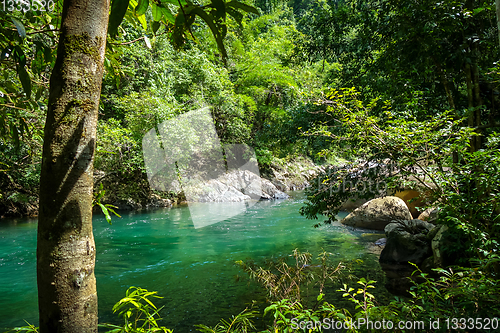 Image of River in jungle rainforest, Khao Sok, Thailand