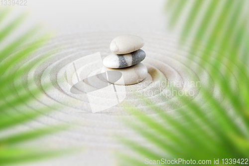 Image of Zen natural japanese garden background