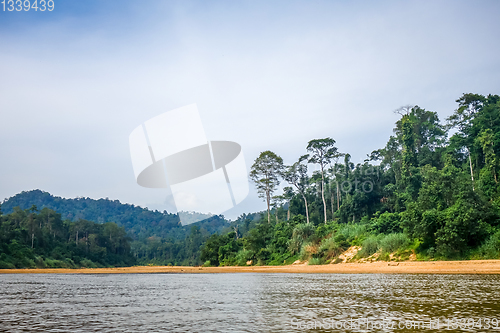 Image of River and jungle in Taman Negara national park, Malaysia