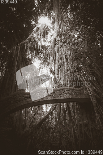 Image of Old bridge in the Monkey Forest, Ubud, Bali, Indonesia