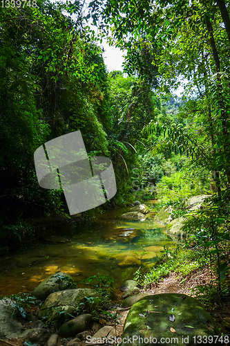 Image of River in jungle rainforest, Khao Sok, Thailand