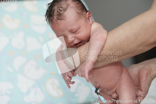 Image of Grandmother is bathing Newborn baby girl