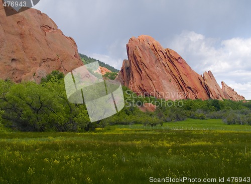 Image of Red Rocks in Bloom