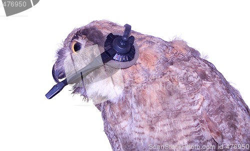 Image of Technical Support Owl