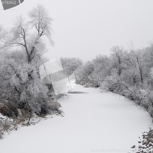 Image of Winter Creek