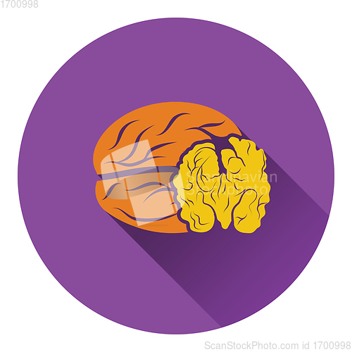 Image of Walnut icon