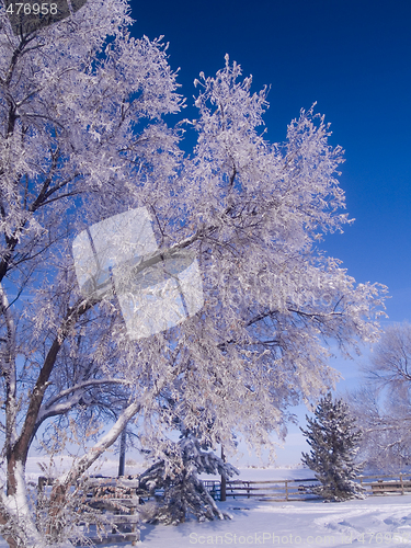 Image of Winter Morning Ranch