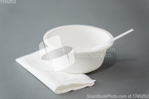 Image of disposable plastic plate with spoon and napkin