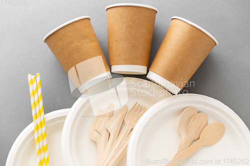 Image of disposable dishes of paper and wood