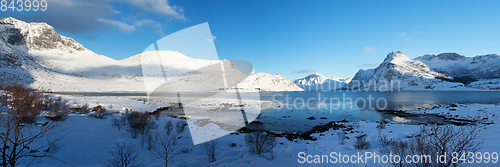 Image of The Lofoten, Norway