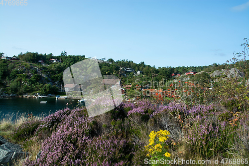 Image of Rossnes, Nordfjorden, Norway