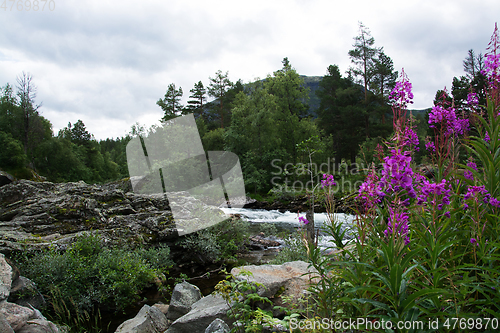 Image of River Rauma, Oppland, Norway