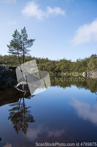 Image of Way to the Preikestolen, Rogaland, Norway