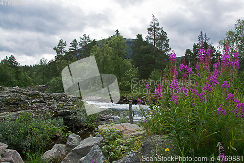 Image of River Rauma, Oppland, Norway