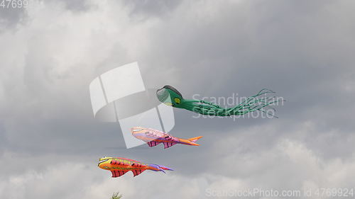 Image of MOSCOW - AUGUST 27: Feast of kites in the park on August 27, 2017 in Moscow, Russia