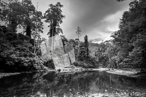 Image of River in Jungle rainforest Taman Negara national park, Malaysia