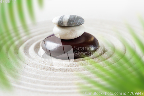Image of Zen natural japanese garden background