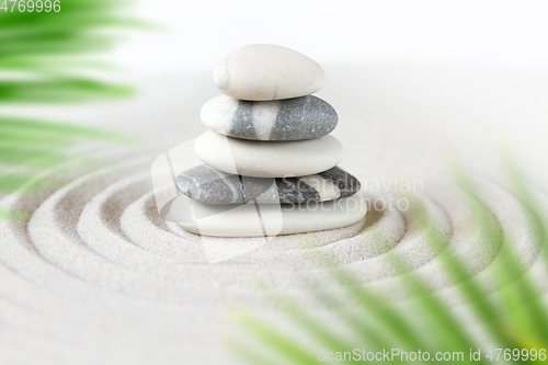 Image of Zen natural japanese garden background