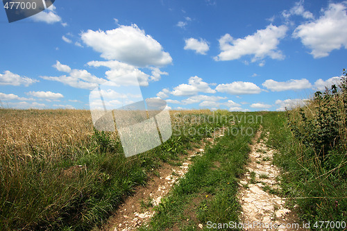 Image of Countryside