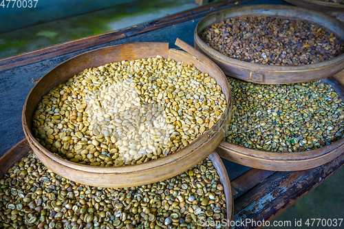 Image of Kopi Luwak coffe beans, Bali, Indonesia