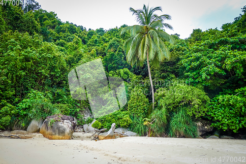 Image of Teluk Pauh beach in Perhentian Islands, Terengganu, Malaysia