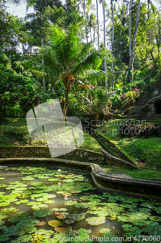 Image of Pond and jungle in Goa Gajah elephant cave temple, Ubud, Bali, I