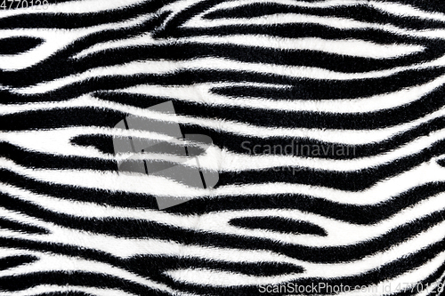 Image of Zebra fur background texture