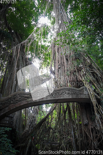 Image of Old bridge in the Monkey Forest, Ubud, Bali, Indonesia