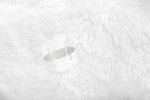 Image of White fur background close up view