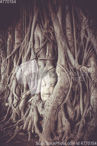 Image of Buddha Head in Tree Roots, Wat Mahathat, Ayutthaya, Thailand