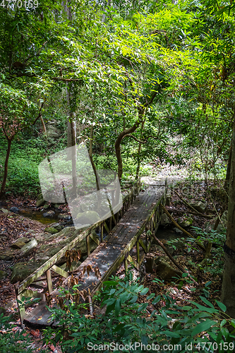 Image of Old wooden bridge in jungle, Chiang Mai, Thailand