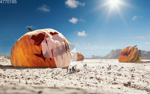 Image of Big pumpkin in desert at sunny day, sales and halloween concept