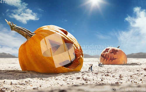 Image of Big pumpkin in desert at sunny day, sales and halloween concept