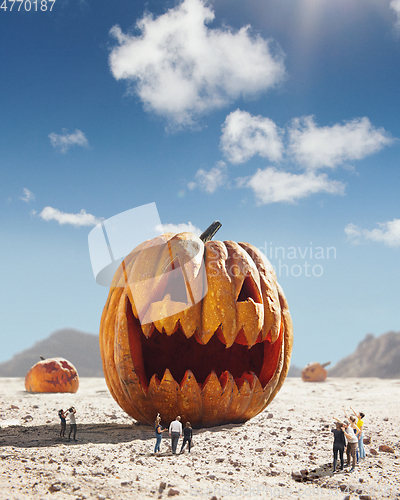 Image of Big pumpkin in desert at sunny day, sales and halloween concept