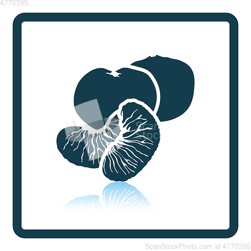 Image of Icon of Mandarin