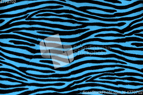 Image of Blue zebra fur background texture