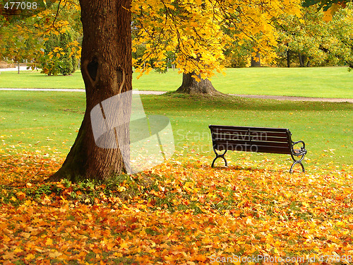 Image of City park in autumn