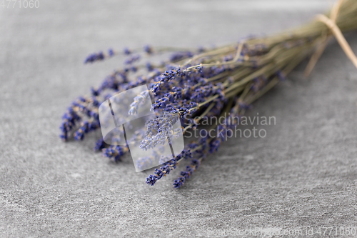 Image of bunch of dried lavender flowers on stone surface