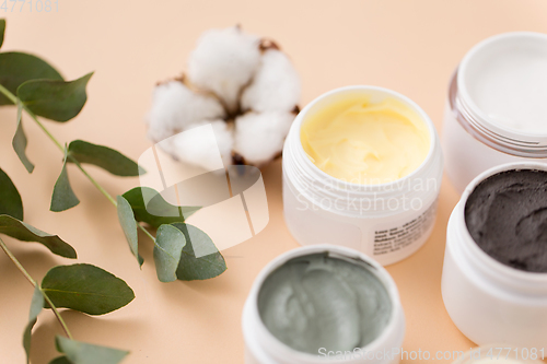 Image of blue clay mask, body butter and eucalyptus cinerea