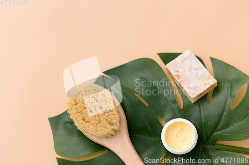 Image of natural soap, brush, body butter and monstera