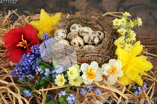 Image of Symbols of Spring with Fresh Flowers and Natural Nest