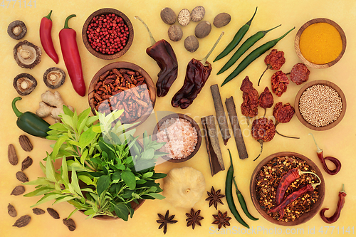 Image of Herb and Spice Assortment Abstract Background  